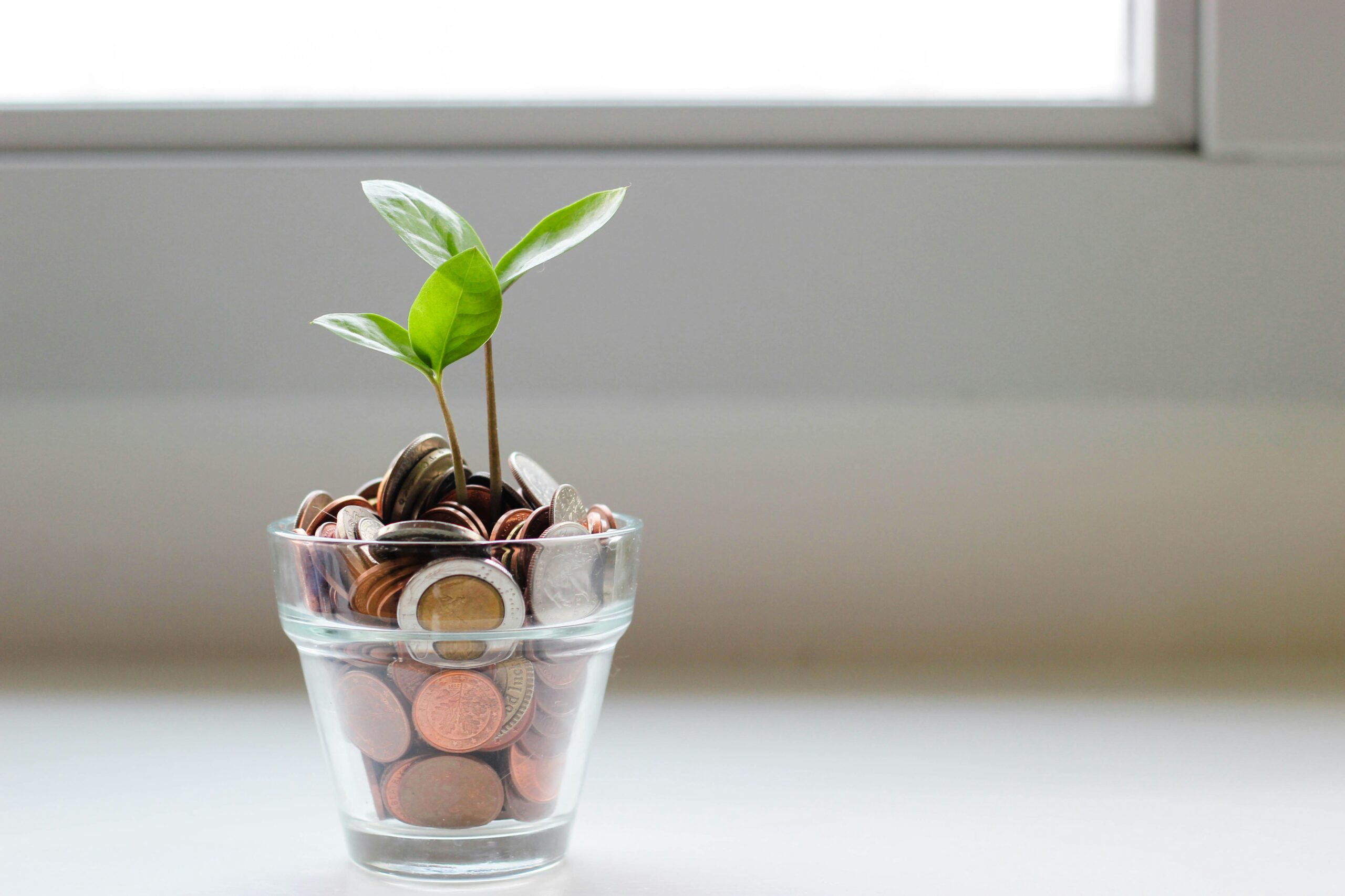 Emergency Fund in 6 Months