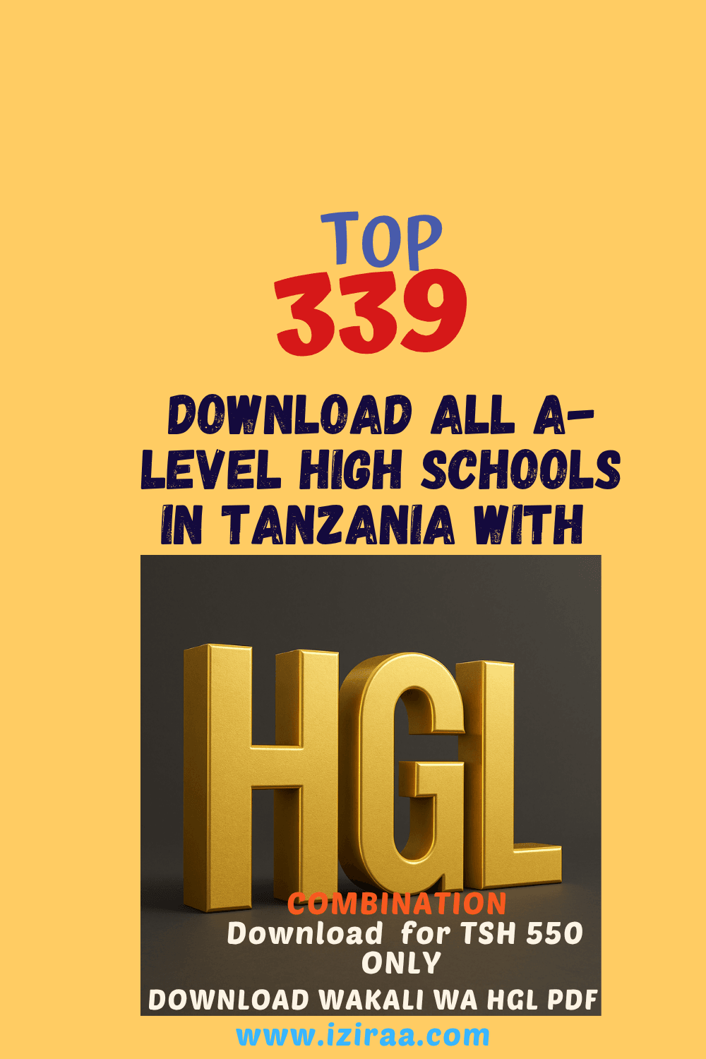 2025 HGL Combination School Rankings Tanzania – Top 336 NECTA Form Six A-Level Results PDF Download