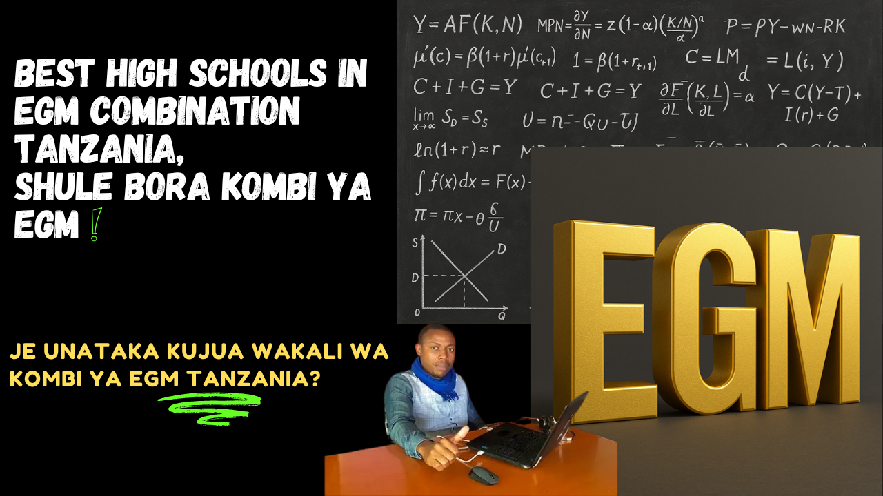 2025 Full Ranking of EGM A-Level Schools in Tanzania (336 NECTA Verified Schools PDF)
