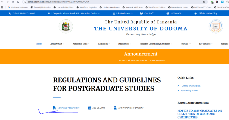 UDOM Research Proposal Format PDF